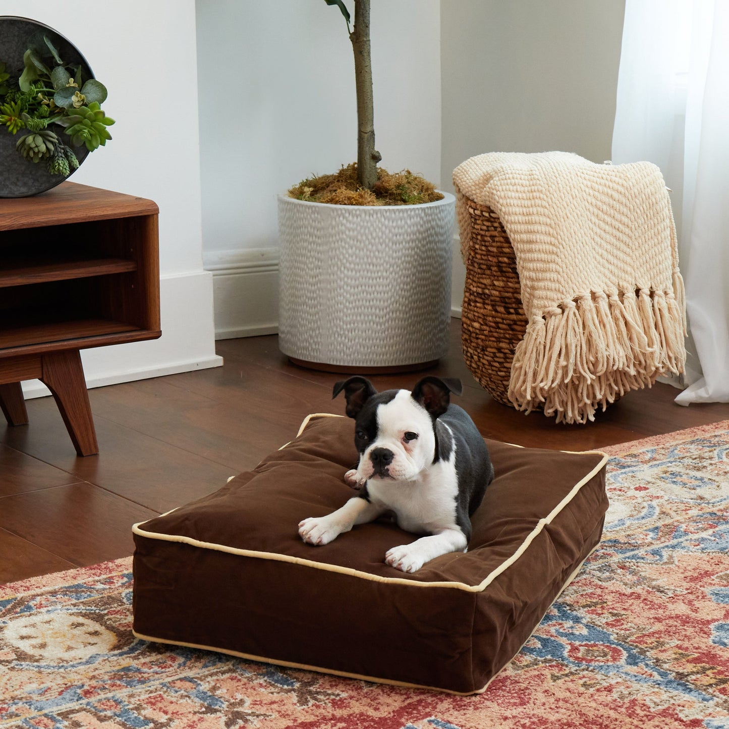 Buster Rectangle Microfiber Pillow Dog Bed